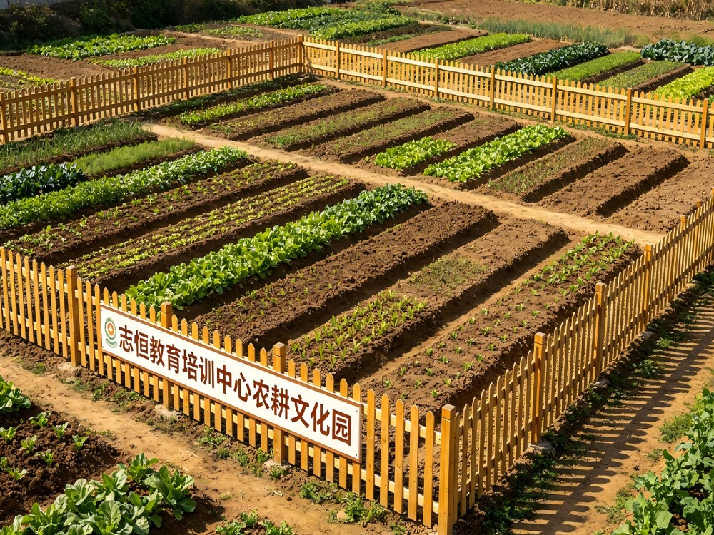 阜阳孩子不听话专门教育学校具体位置与成长规划参考